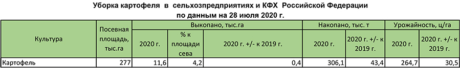 Уборка картофеля в сельхозпредприятиях и КФХ Российской Федерации
