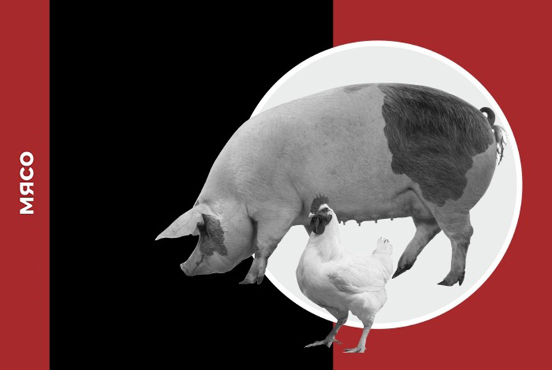 рынок мяса в россии 2020 показатели и прогнозы. Смотреть фото рынок мяса в россии 2020 показатели и прогнозы. Смотреть картинку рынок мяса в россии 2020 показатели и прогнозы. Картинка про рынок мяса в россии 2020 показатели и прогнозы. Фото рынок мяса в россии 2020 показатели и прогнозы рынок мяса в россии 2020 показатели и прогнозы. Смотреть фото рынок мяса в россии 2020 показатели и прогнозы. Смотреть картинку рынок мяса в россии 2020 показатели и прогнозы. Картинка про рынок мяса в россии 2020 показатели и прогнозы. Фото рынок мяса в россии 2020 показатели и прогнозы