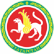 Республика Татарстан