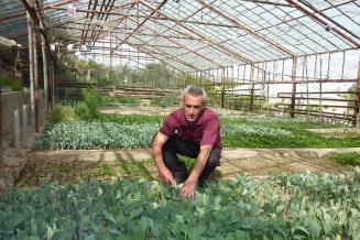 За 10 лет доля продукции малых форм хозяйствования в структуре сельхозпроизводства увеличилась в два раза