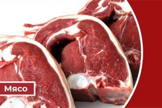 Дайджест «Мясо»: в России за последние пять лет производство свиней на убой в живом весе увеличилось на 39%