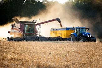 Урожай зерновых в 2021 году ожидается выше среднего за последние пять лет