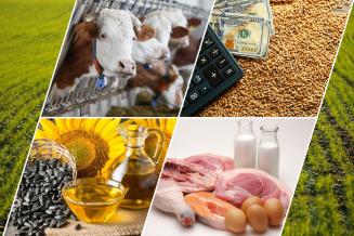 Правительство России внесло изменения в госпрограмму развития сельского хозяйства 