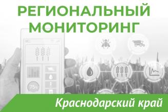 Еженедельный бюллетень о состоянии АПК Краснодарского края на 25 октября