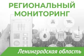Еженедельный бюллетень о состоянии АПК Ленинградской области на 27 октября