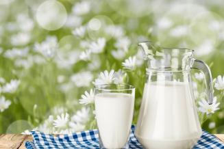 Производство питьевого молока в&nbsp;России за девять месяцев выросло на 0,5%