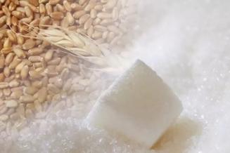 Минсельхоз определил предельные цены на зерно и сахар для интервенций в 2022–2023 годах
