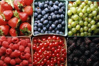 Урожай ягод в России в 2021 году может составить 18–20 тыс. т