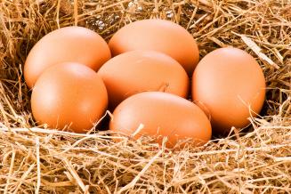В январе — октябре хозяйства Вологодской области выпустили 527,9&nbsp;млн&nbsp;яиц