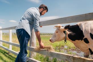 Затраты на содержание молочных ферм в Новой Зеландии растут