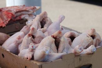 Доходы от экспорта мяса птицы из Бразилии выросли на 25,3%