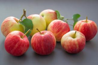 В Белгородской области в ноябре яблоки подешевели на 23,3%