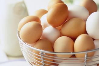 Оренбургская область — лидер России по экспорту яиц