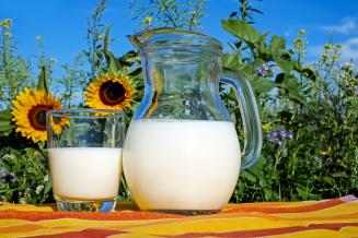 В Удмуртской Республике растет производство молока и продуктивность коров