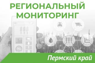Еженедельный бюллетень о состоянии АПК Пермского края на 29 декабря