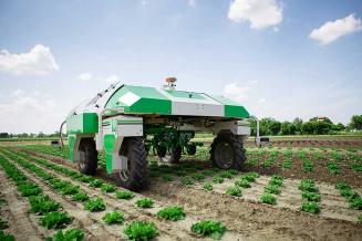 Российские ученые создали комплекс роботов и дронов для повышения эффективности сельхозработ