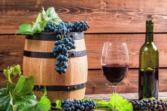 В России утверждены правила господдержки виноградарей в рамках отраслевого федпроекта
