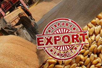 В России одобрено введение ежегодной квоты на экспорт зерновых