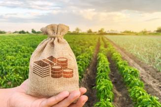 В 2021 году чувашские аграрии получили свыше 1,1&nbsp;млрд&nbsp;руб. господдержки на&nbsp;условиях софинансирования