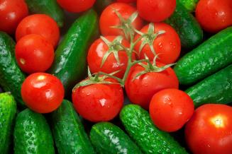 Производство тепличных овощей в РФ достигло рекордных 1,4 млн т в&nbsp;2021 году