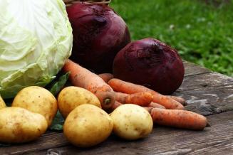 В 2022 году в РФ планируется увеличить посевные площади под овощи открытого грунта и картофель