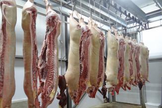 В Белгородской области снизились цены производителей на&nbsp;свинину