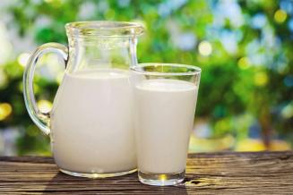 Удмуртские сельхозорганизации на&nbsp;4,8% увеличили валовой суточный надой молока