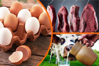 В 2021 году производство яиц в&nbsp;Чувашии увеличилось на&nbsp;4,8%