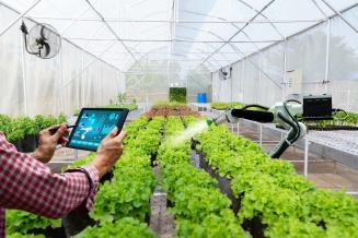 Росстандарт утвердил ГОСТ для систем с ИИ, используемых в сельском хозяйстве