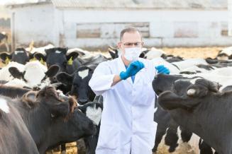 ВНИИЗЖ увеличит мощности производства вакцин для сельхозживотных