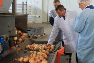 В Волгоградской области запустили крупный завод по сушке овощей