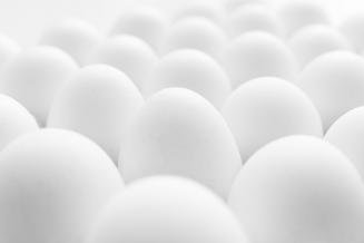 В Тульской области производство яиц увеличилось на 19%