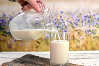 Сельхозорганизации Мордовии увеличили производство молока