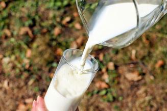 В&nbsp;Кировской области растет производство молока 