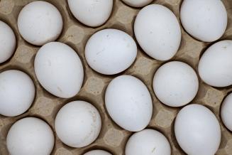 Хозяйства Воронежской области нарастили производство мяса и яиц
