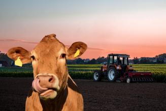 В первом квартале 2022 года рынок агрострахования в России вырос на 44%