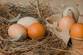 В&nbsp;новгородской рознице средняя цена на&nbsp;яйца снизилась на&nbsp;4,2%